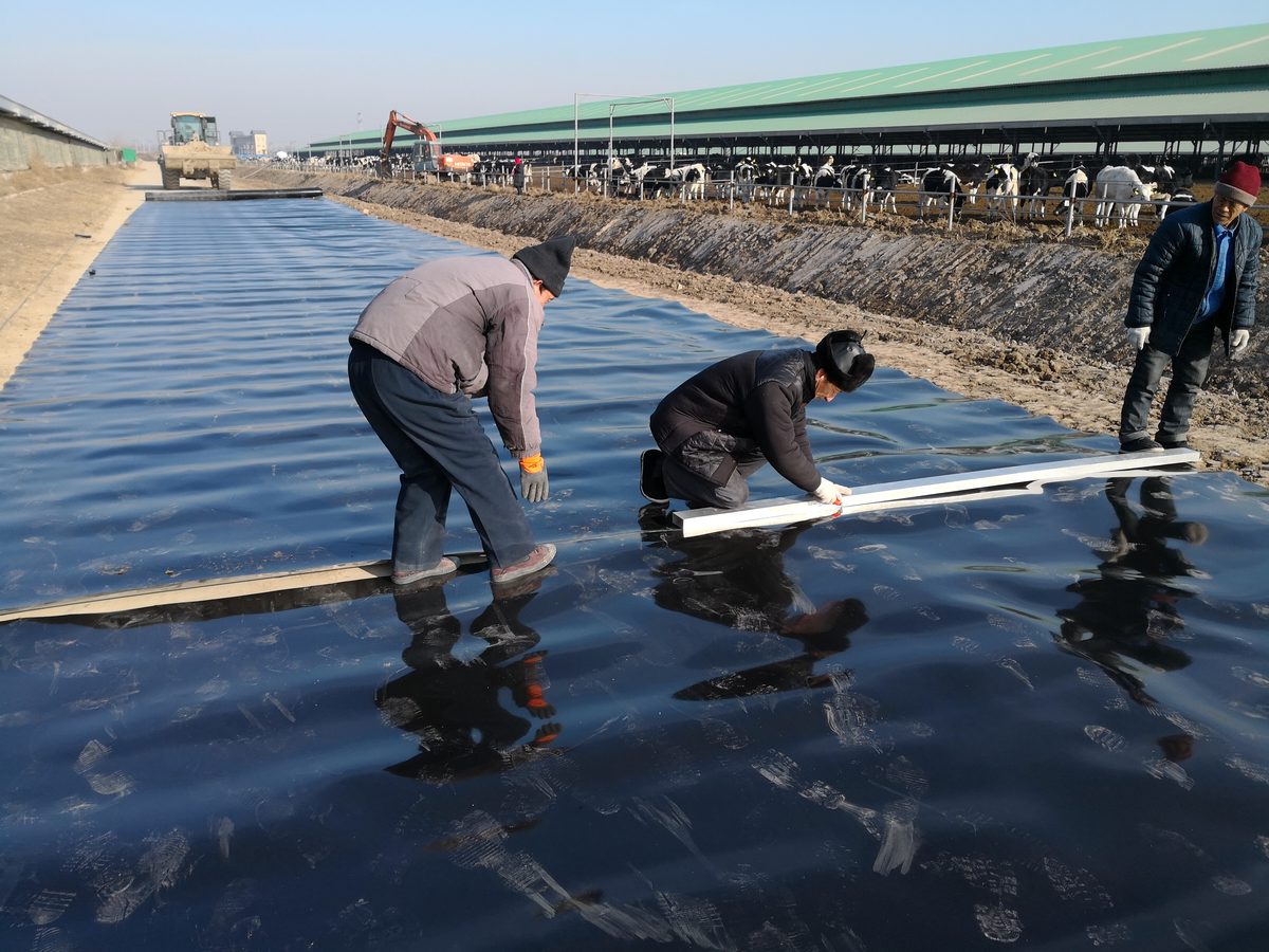 渠道与路基防渗铺设现场