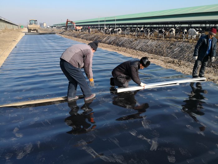 蓄水池土工膜实拍